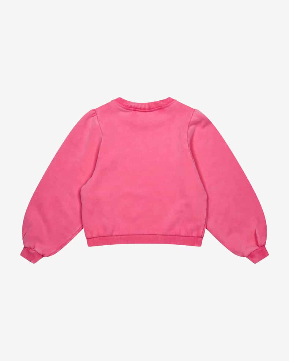 AO76 Sweatshirt Begrenzte Freigabe