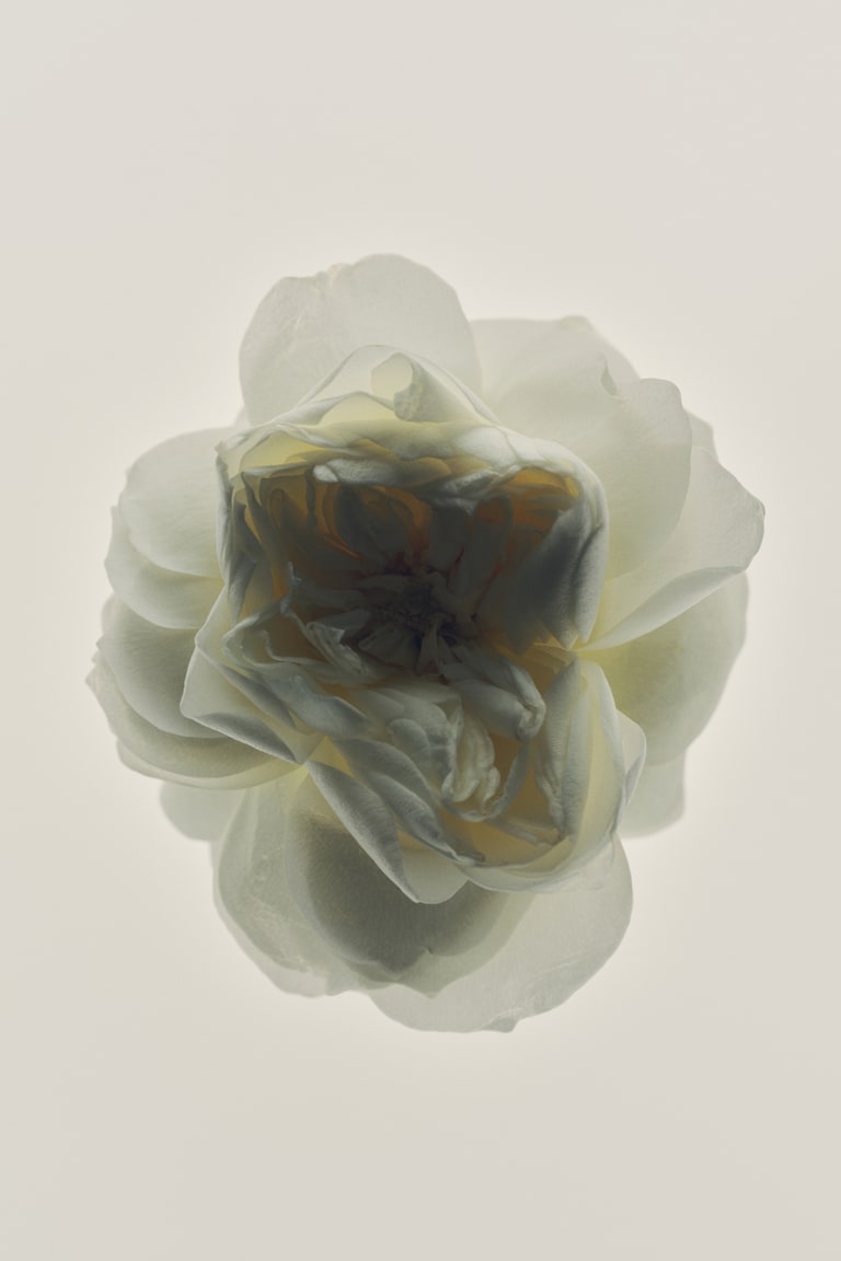 H&M Eau de Toilette Neuheiten