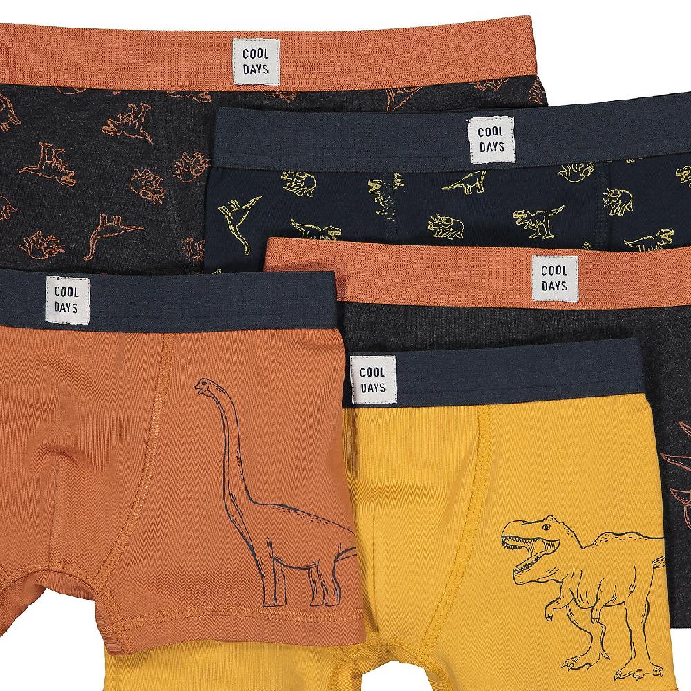laredoute 5er-Pack Boxerpants "Dinosaurier" bunt LA REDOUTE COLLECTIONS Black Friday